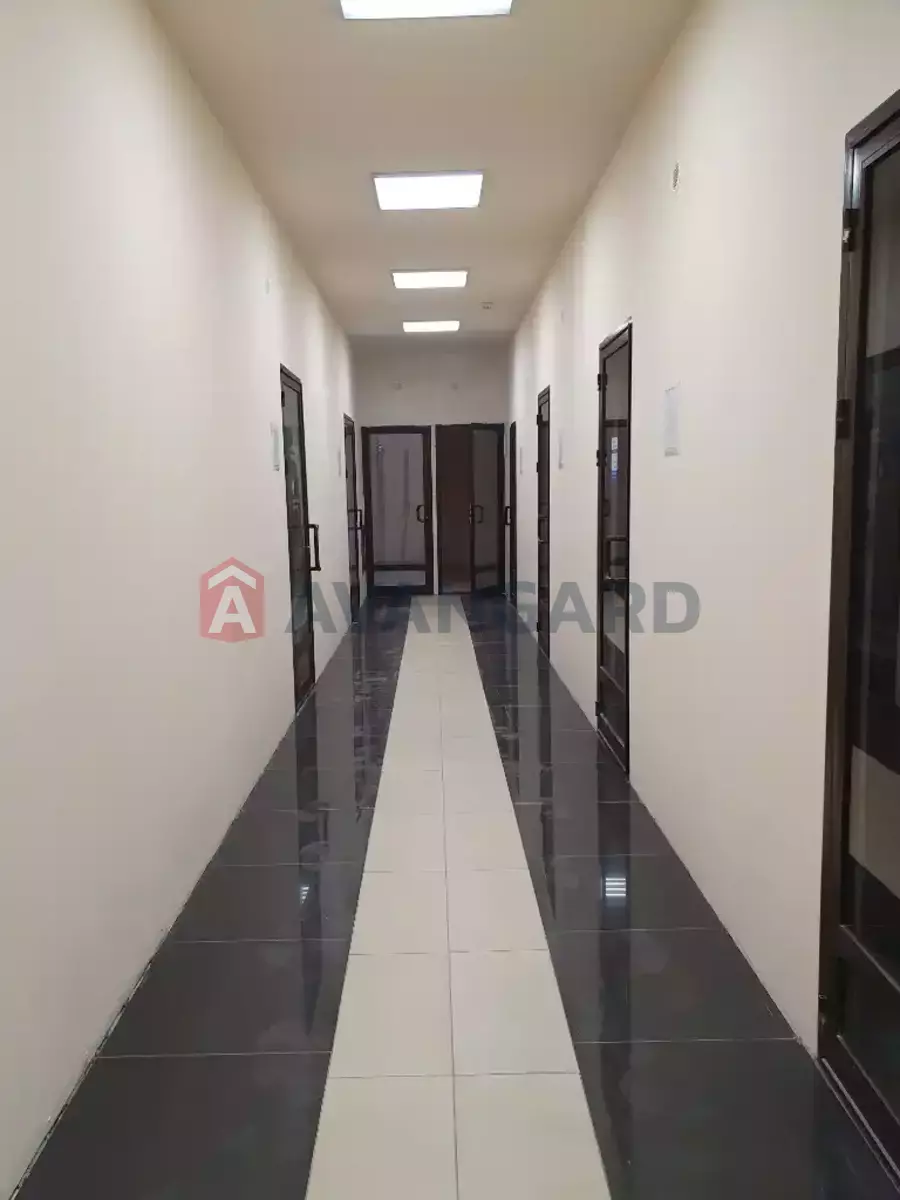 13 ��.�. ���� 6