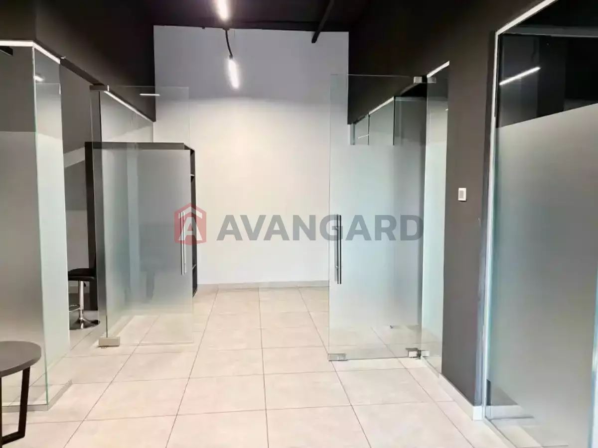 1202 ��.�. ���� 15