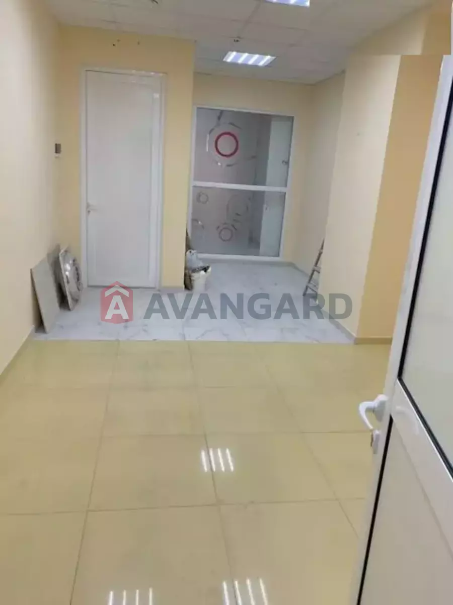 47 ��.�. ���� 5