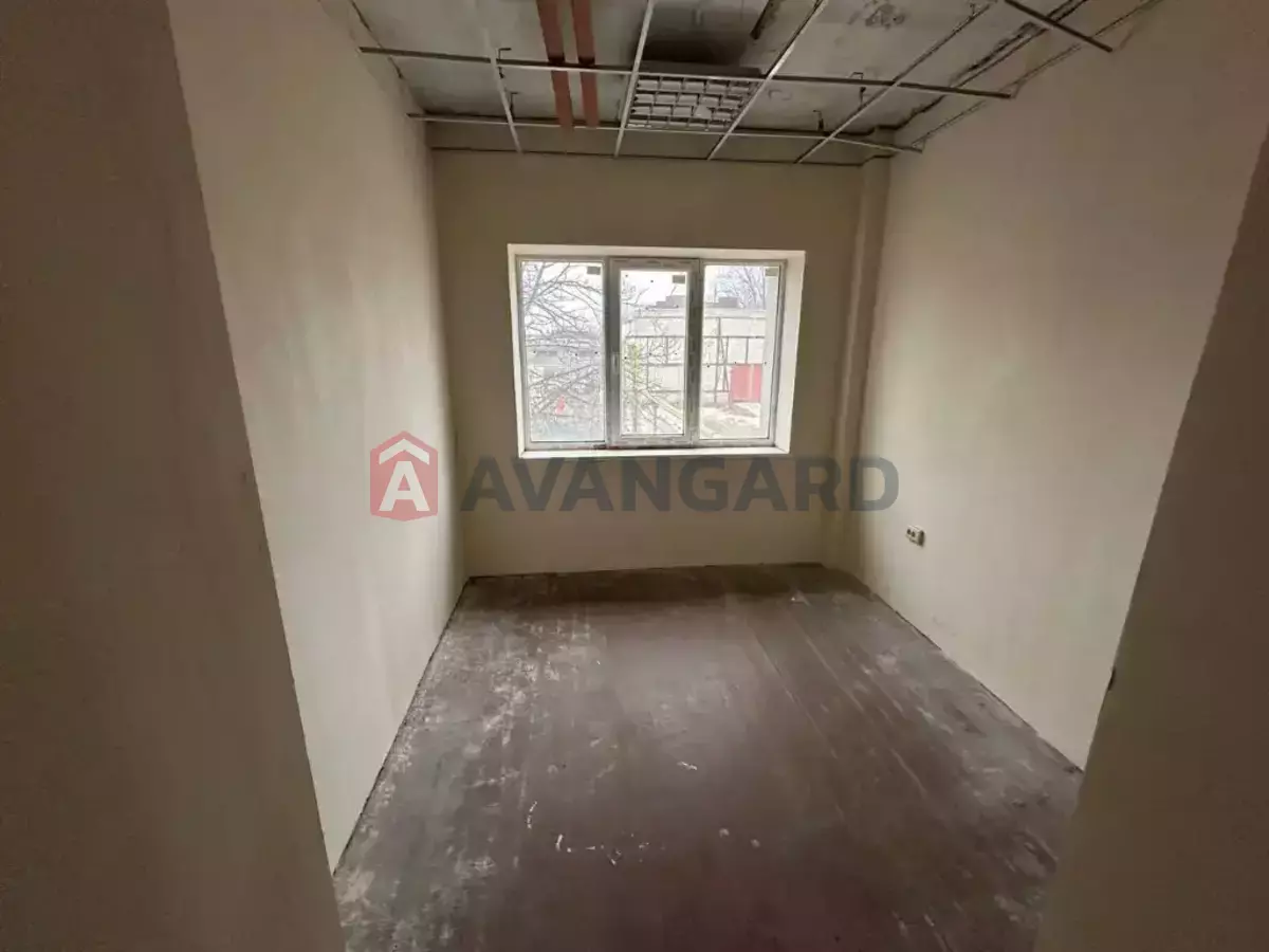 203 ��.�. ���� 3