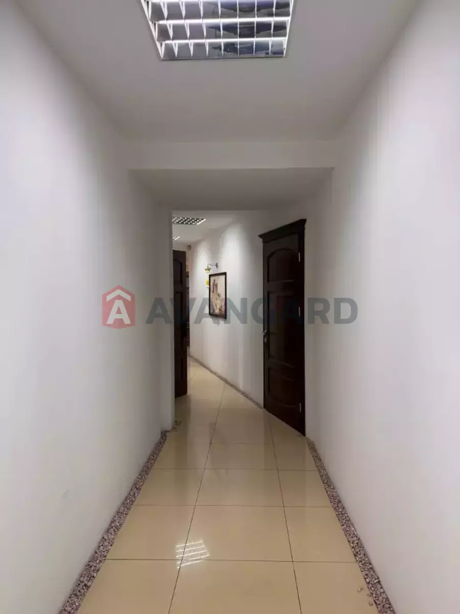480 ��.�. ���� 17