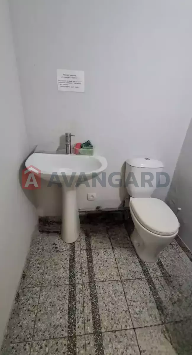 43 ��.�. ���� 6
