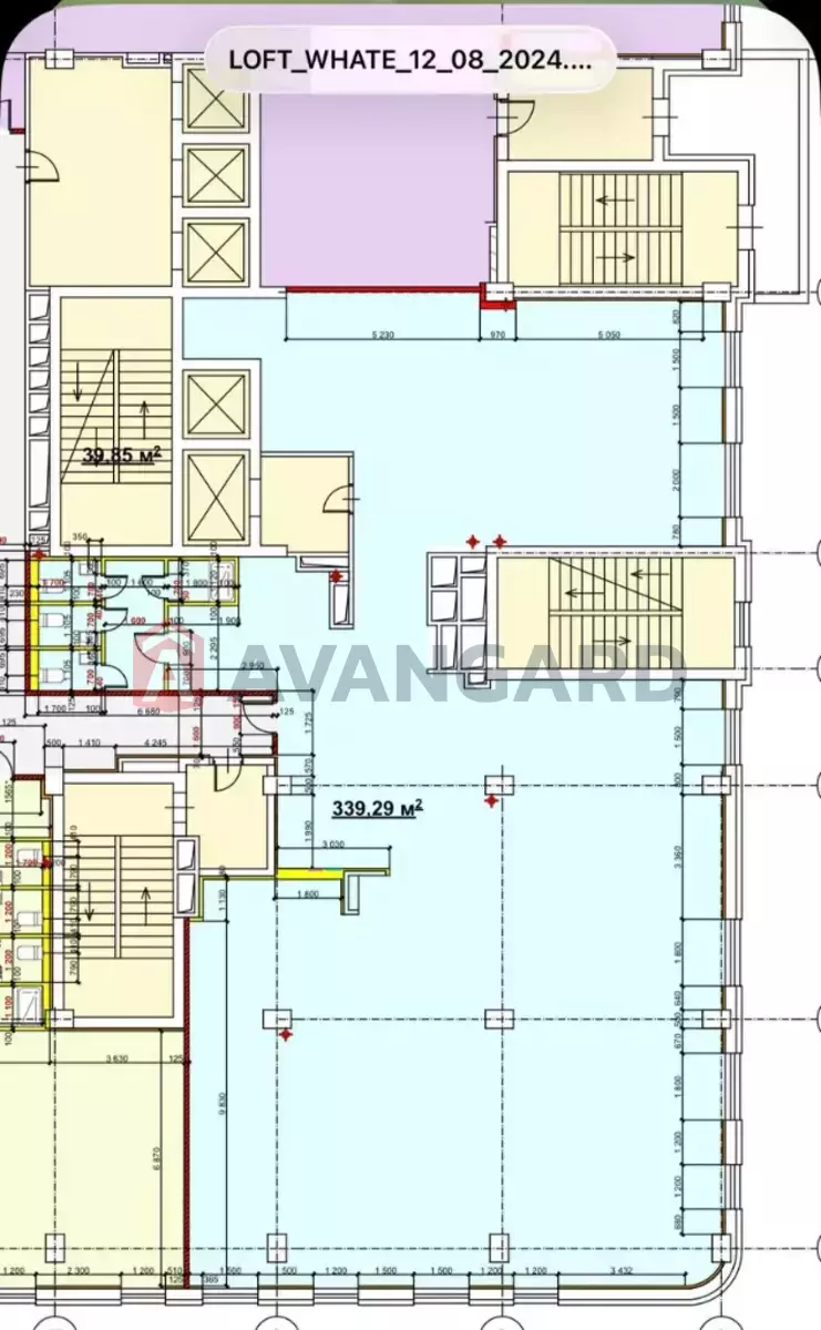 339 ��.�. ���� 8