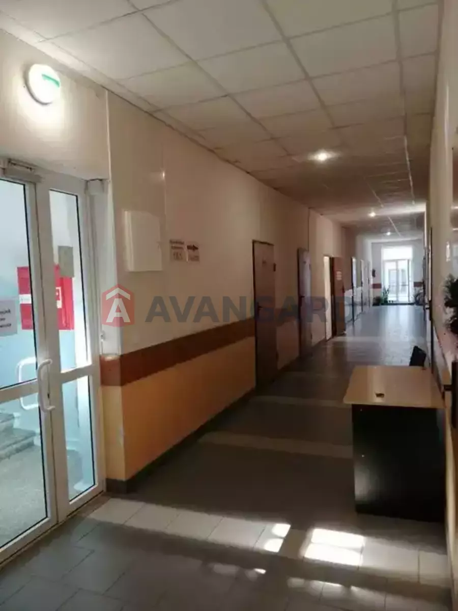 17 ��.�. ���� 4