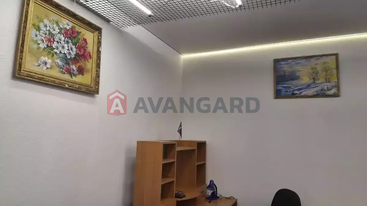 41 ��.�. ���� 5