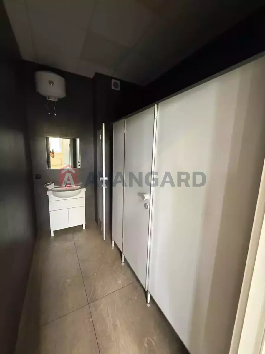 229 ��.�. ���� 6