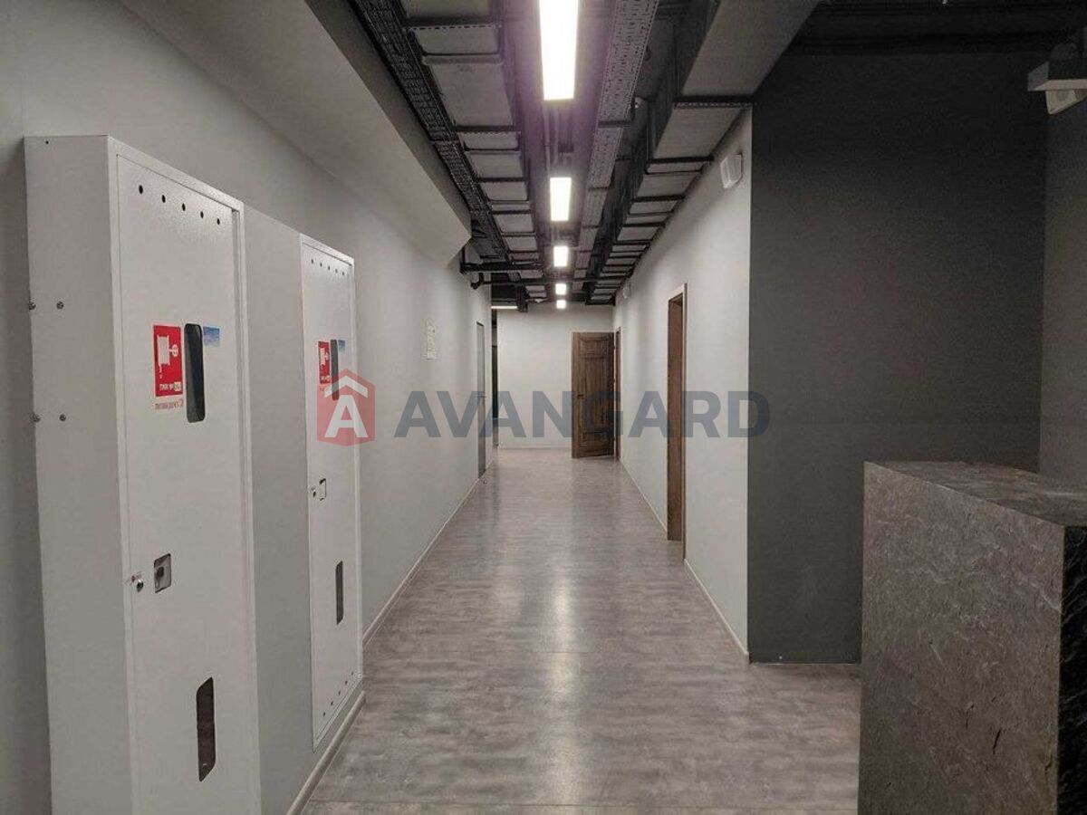 ������ �����, 390 ��.�. ���� 12