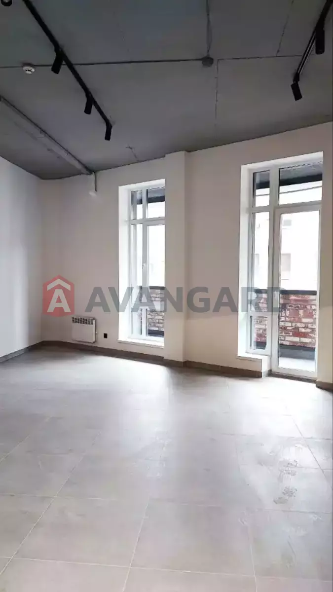 41 ��.�. ���� 5