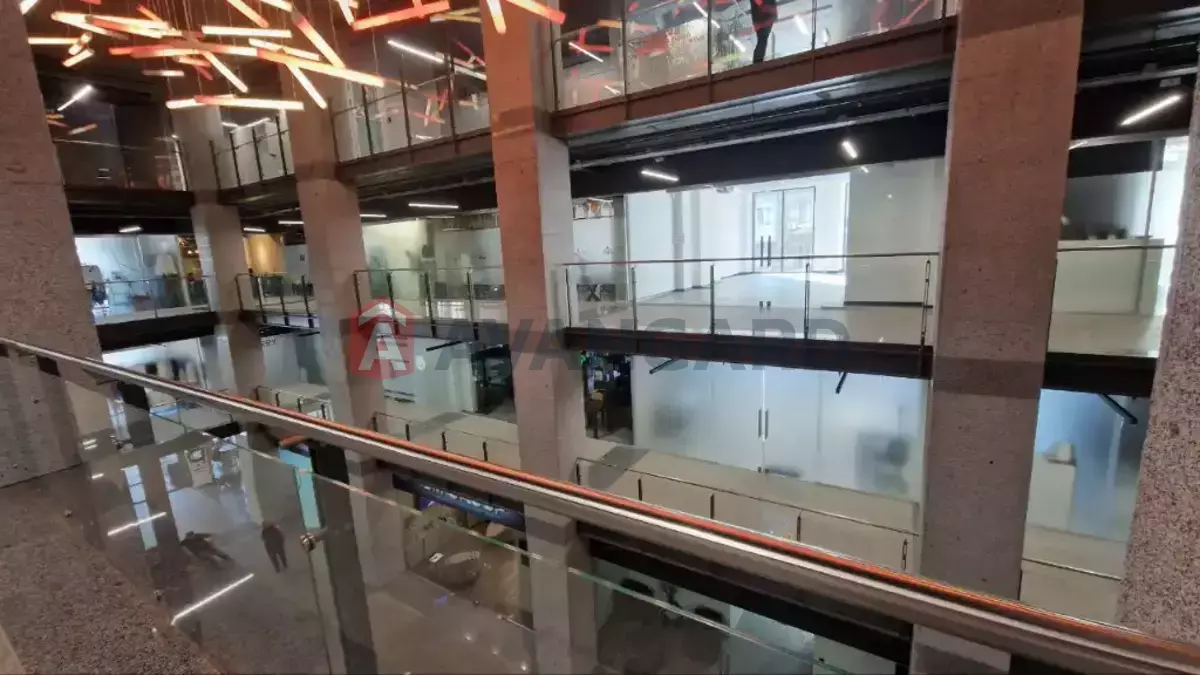 55 ��.�. ���� 11