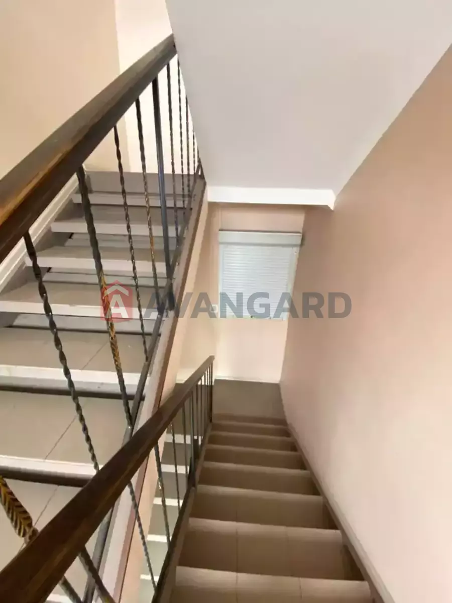 66 ��.�. ���� 3