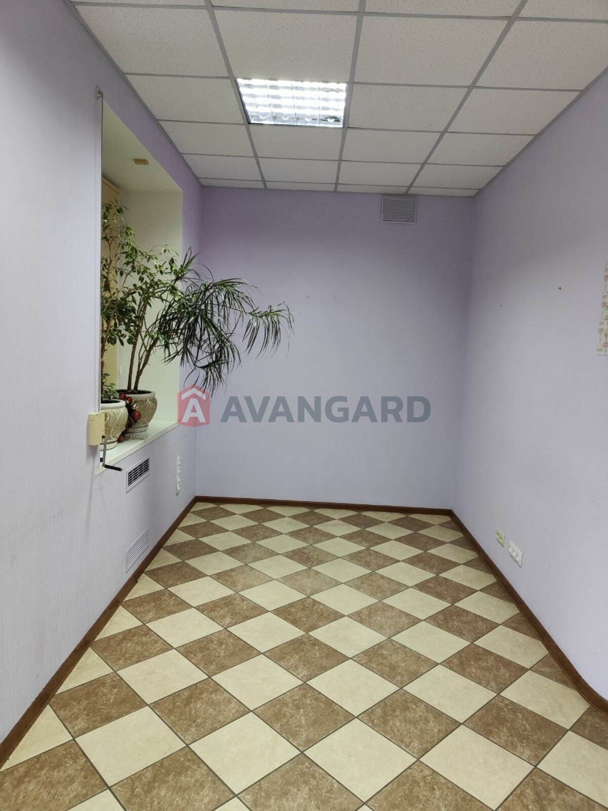 ������� ��������� � ����� ����, 70 ��.�. ���� 8