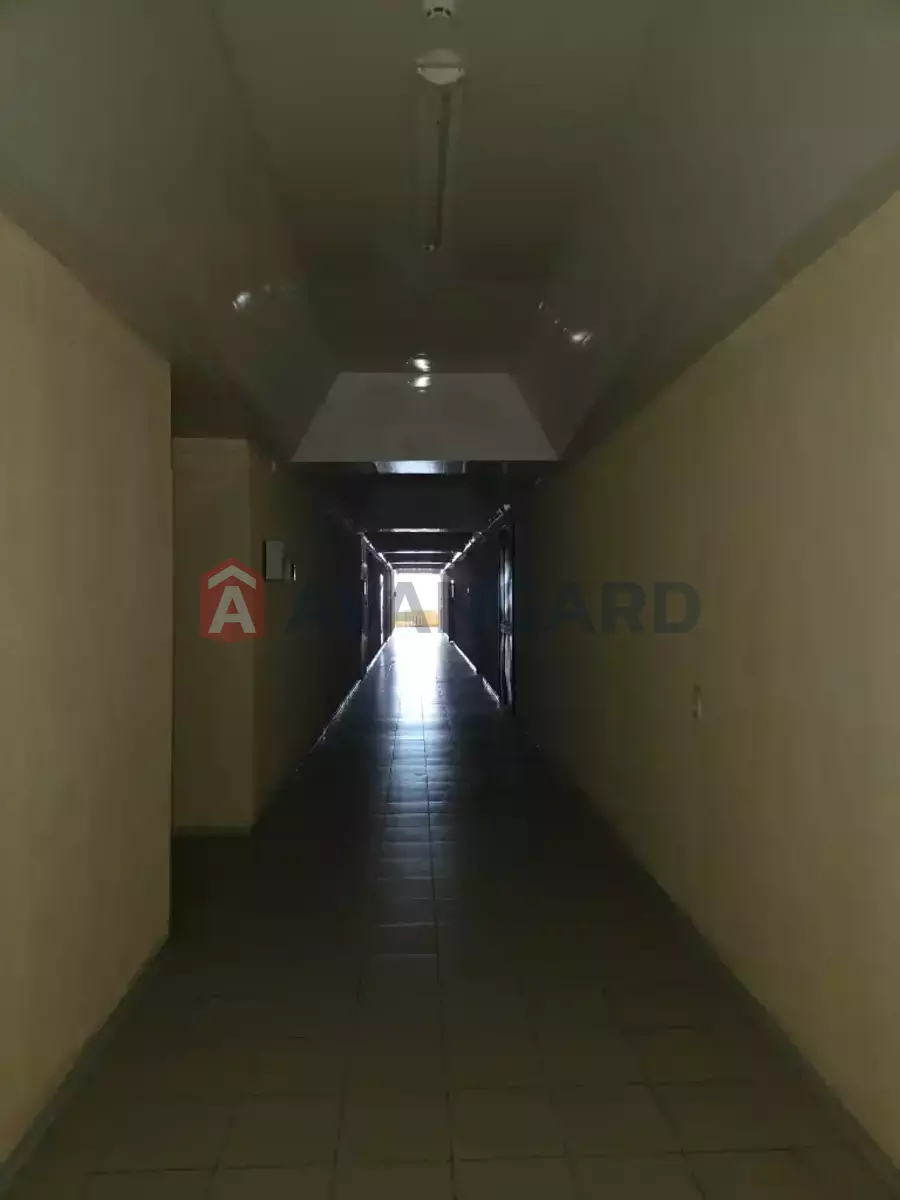 17 ��.�. ���� 8