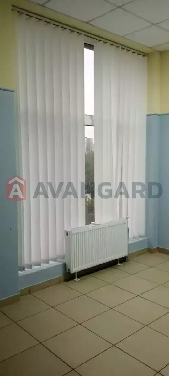 42 ��.�. ���� 3