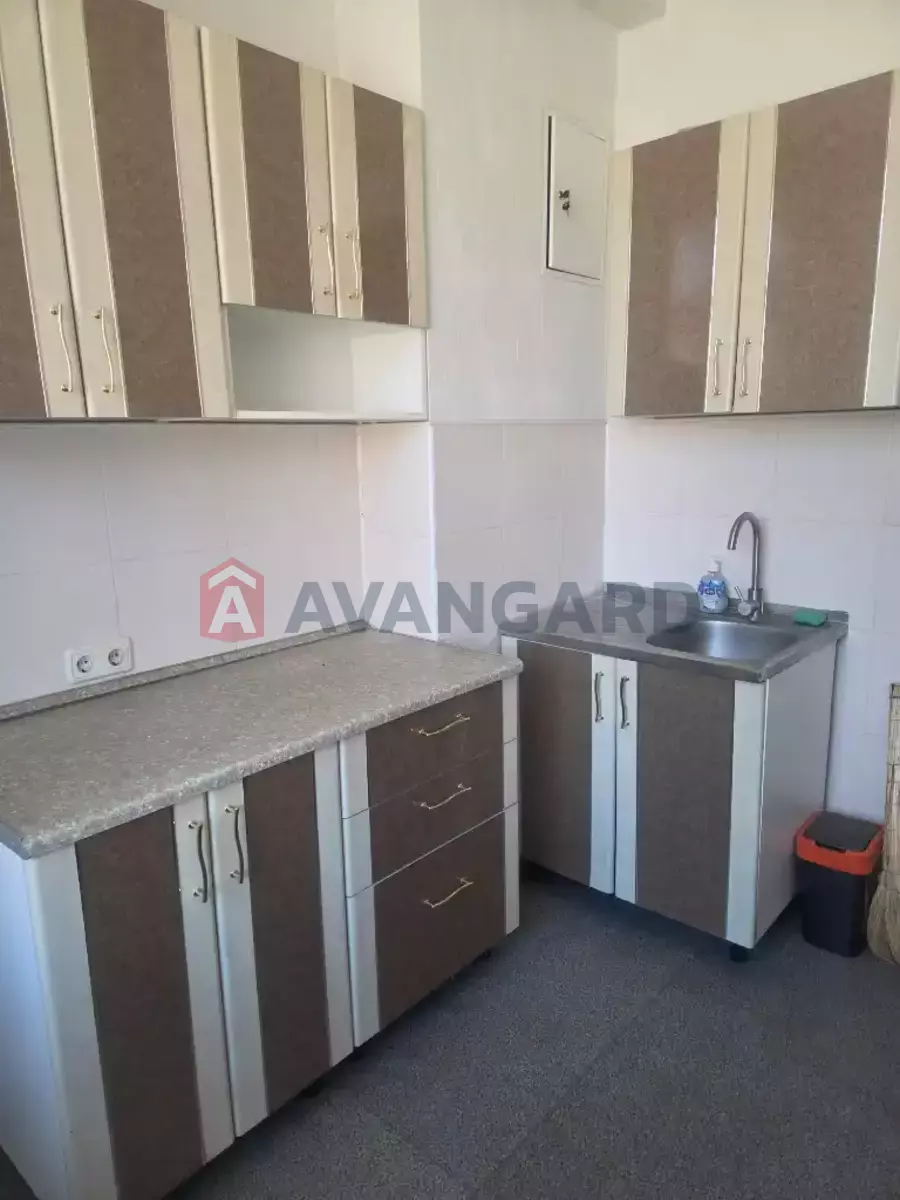 141 ��.�. ���� 17