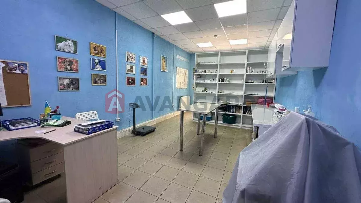 ����, 50 ��.�. ���� 8