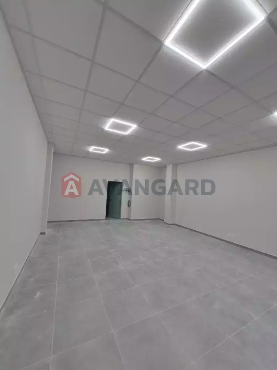 46 ��.�. ���� 4