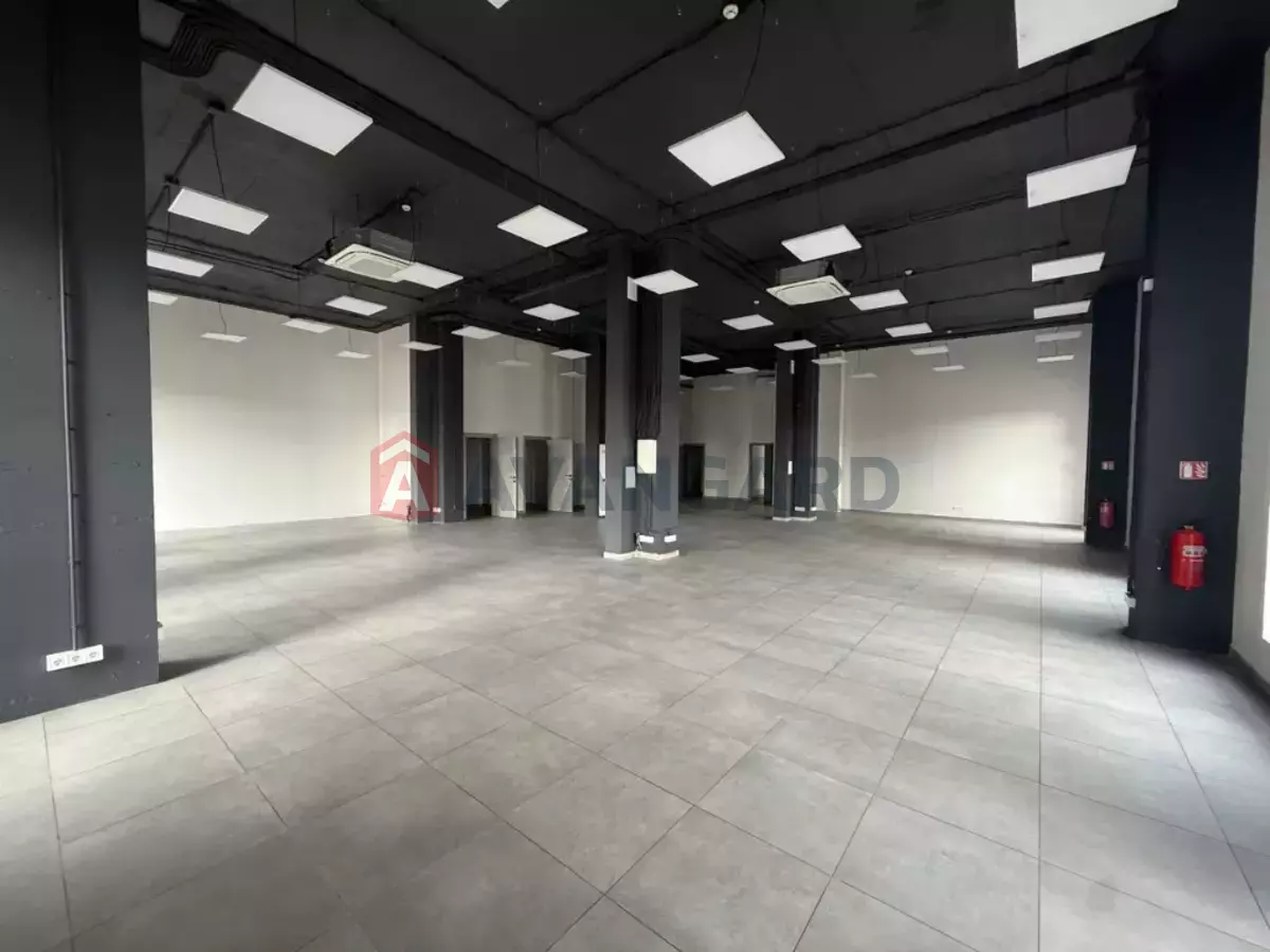 339 ��.�. ���� 1