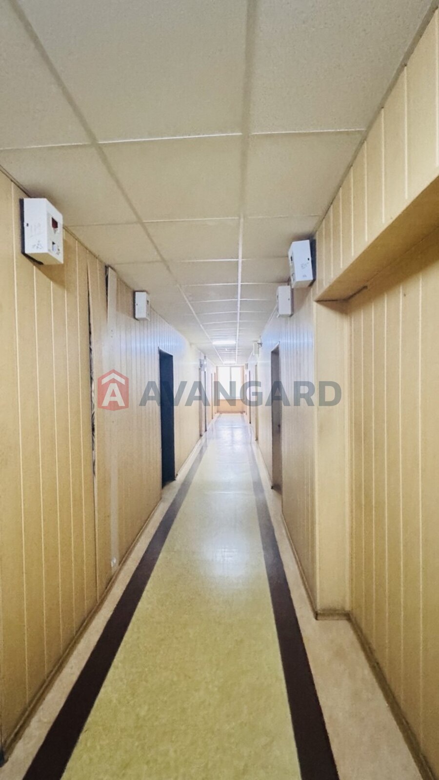 ���������������� ���������, 340 ��.�. ���� 4