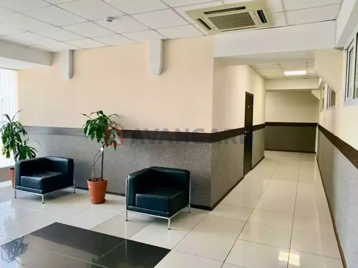 55 ��.�. ���� 7