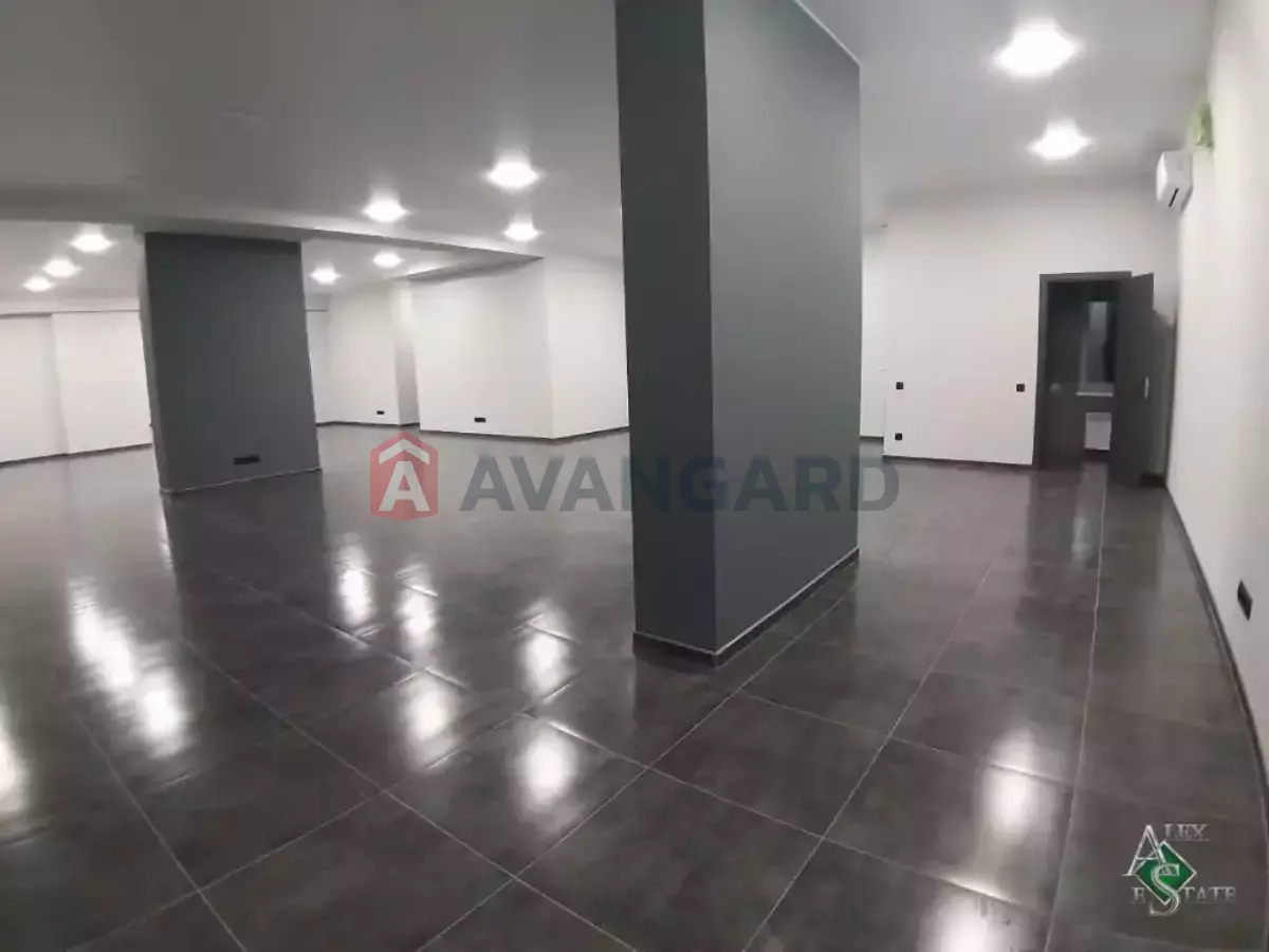 211 ��.�. ���� 11