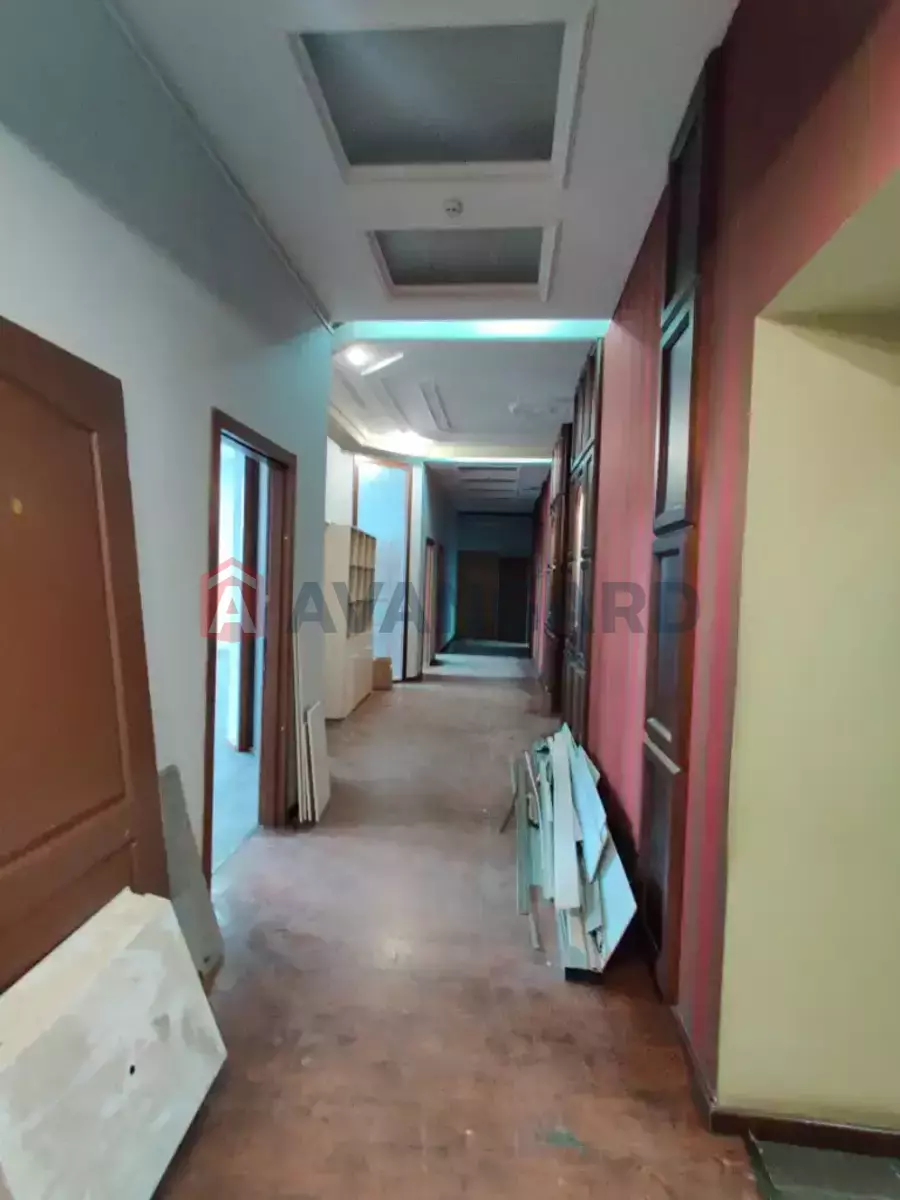 245 ��.�. ���� 26