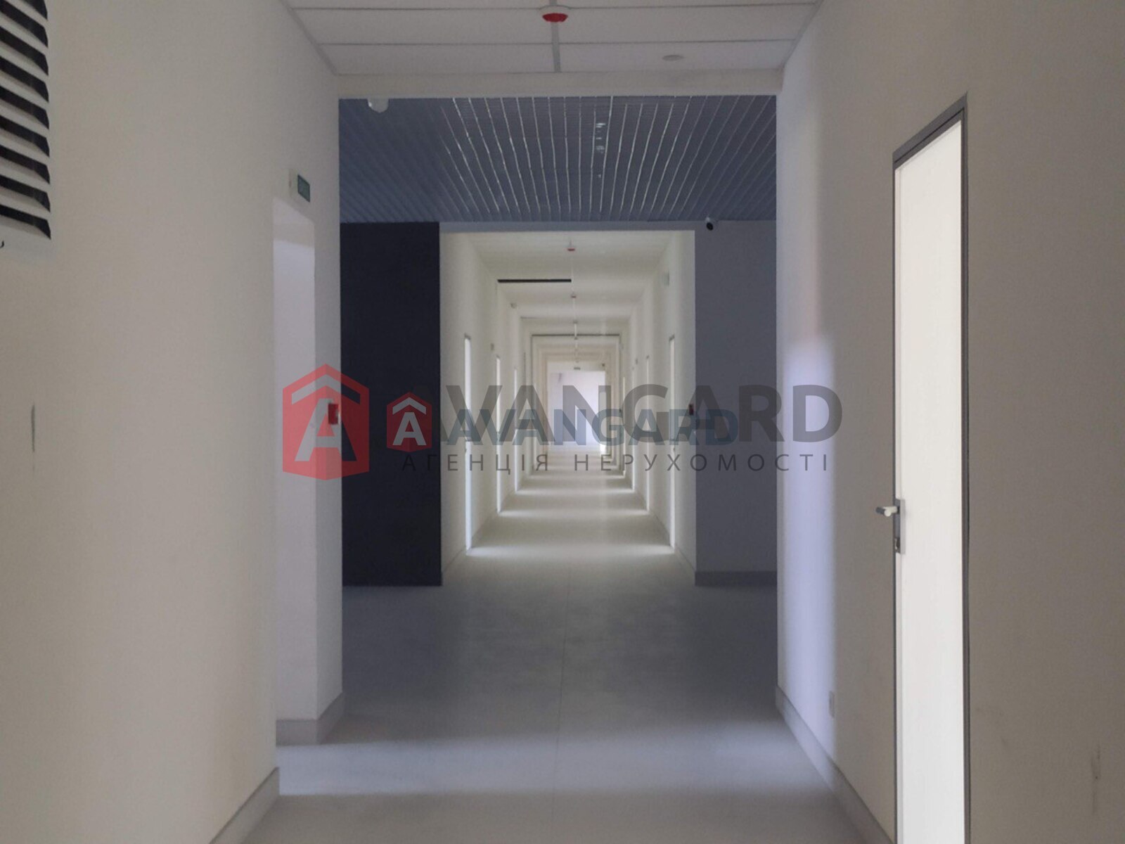 ����� �����, 380 ��.�. ���� 5