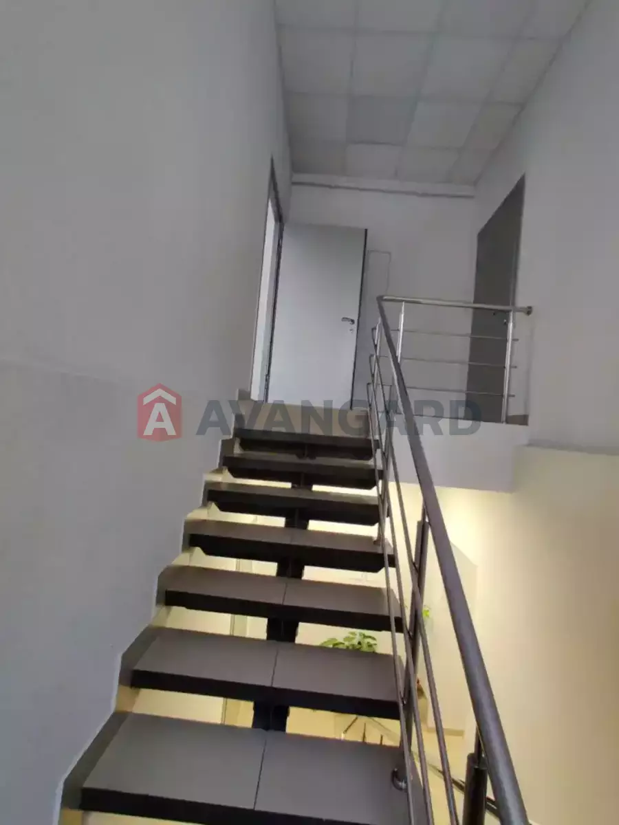 62 ��.�. ���� 11