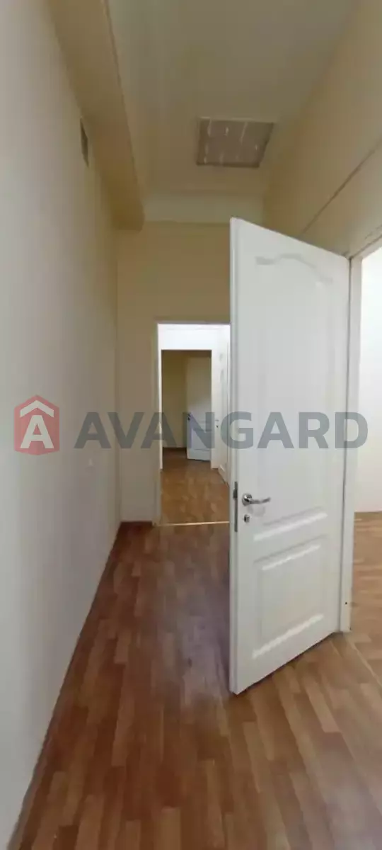 81 ��.�. ���� 3