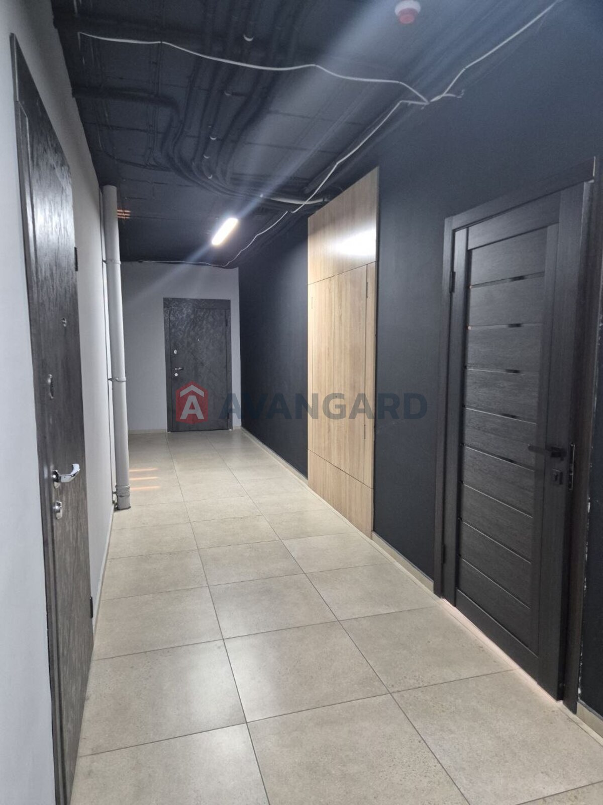 �������� ����, 48 ��.�. ���� 8