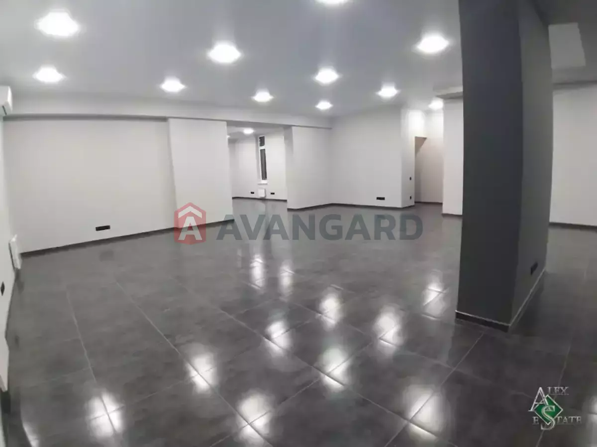 211 ��.�. ���� 13