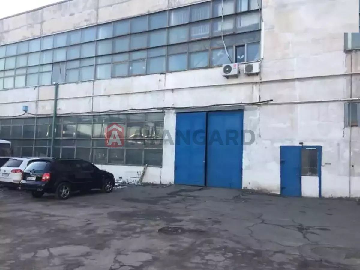 ����, 250 ��.�. ���� 1