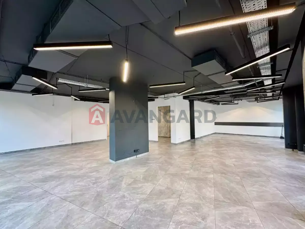 436 ��.�. ���� 12