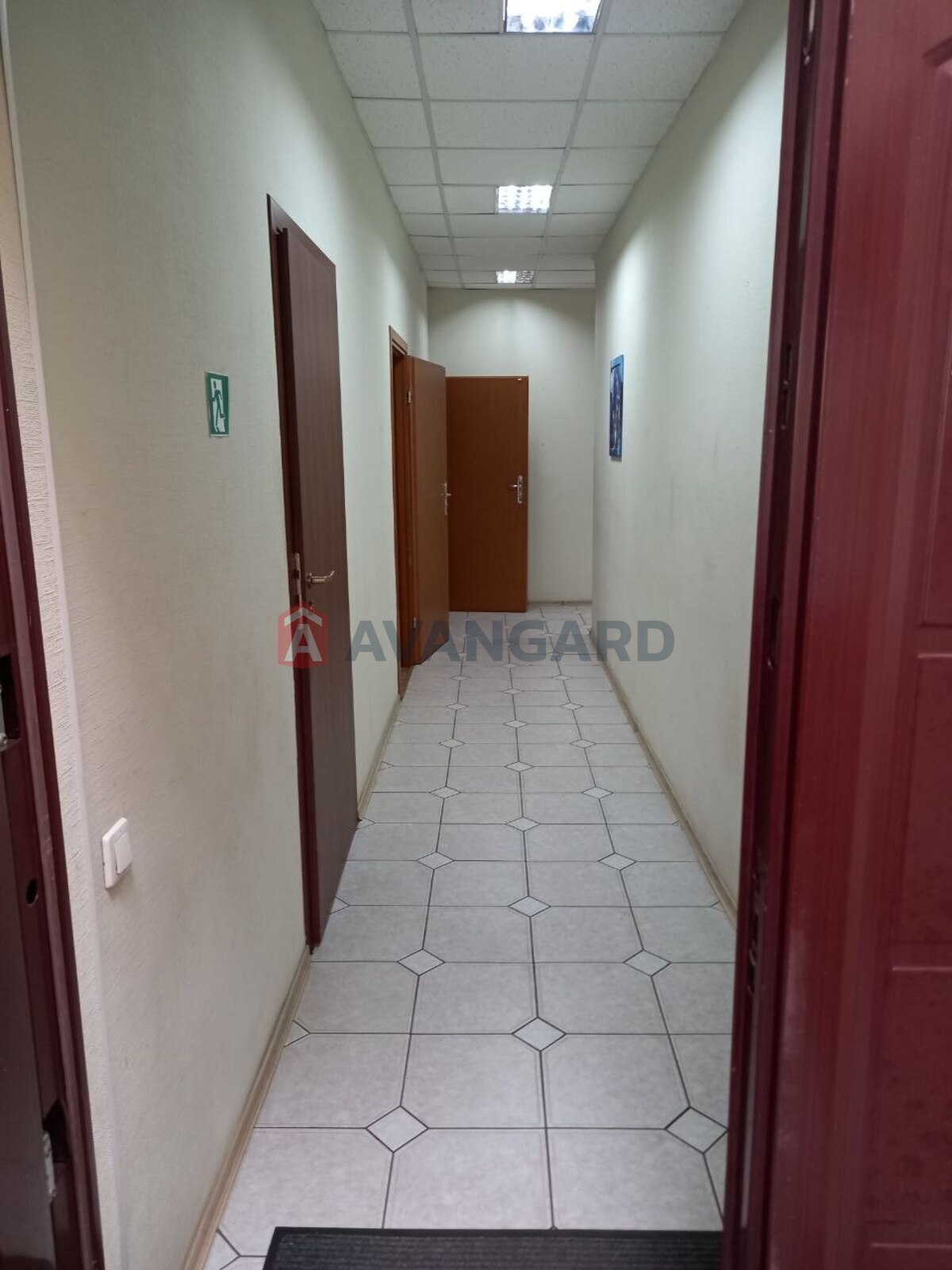 �����������-������� �����, 50 ��.�. ���� 7