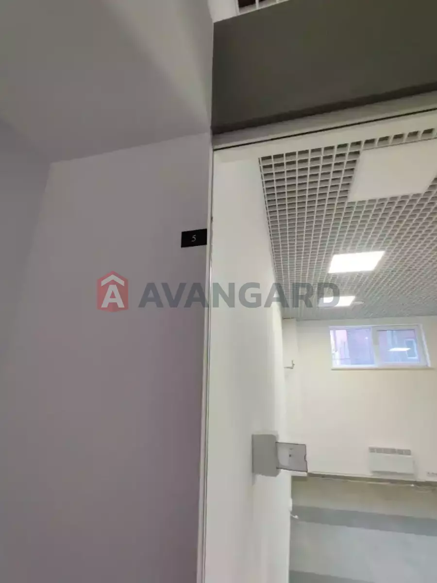 41 ��.�. ���� 5