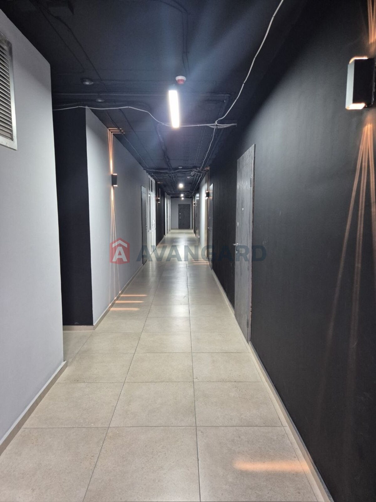 �������� ����, 48 ��.�. ���� 6