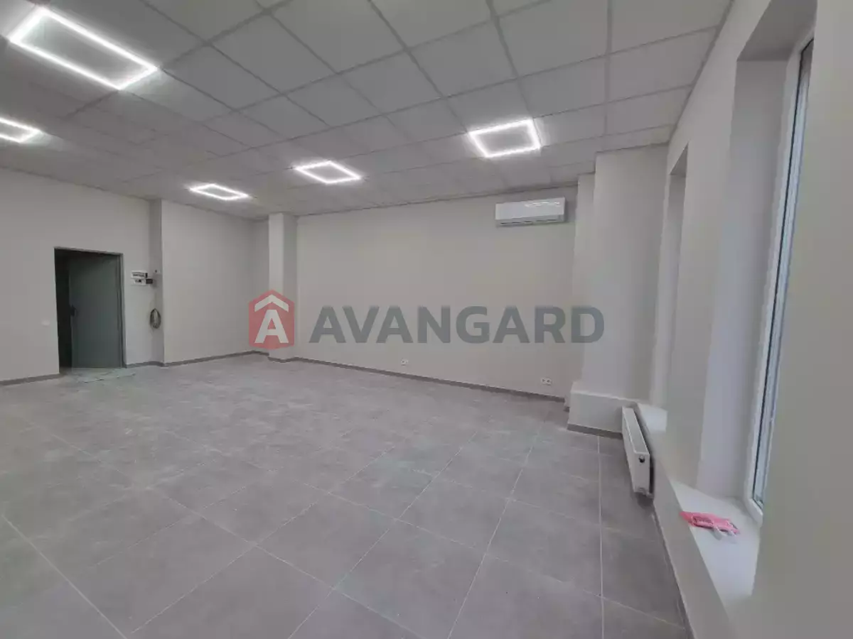 46 ��.�. ���� 6