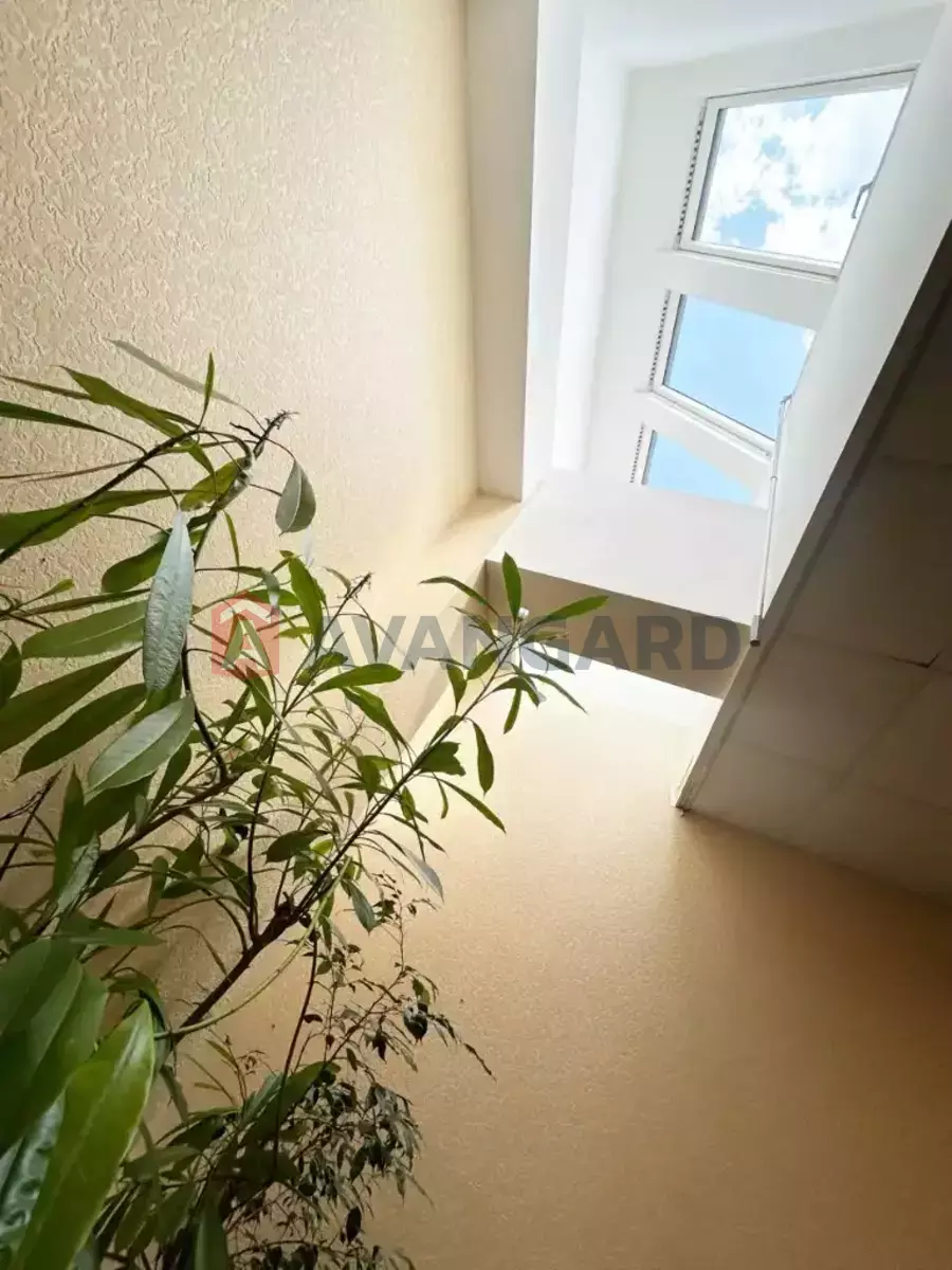 27 ��.�. ���� 4