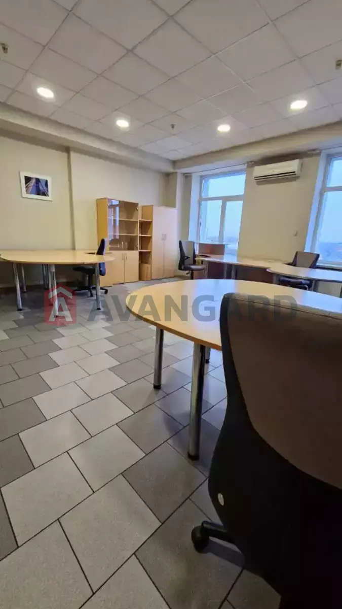 38 ��.�. ���� 6