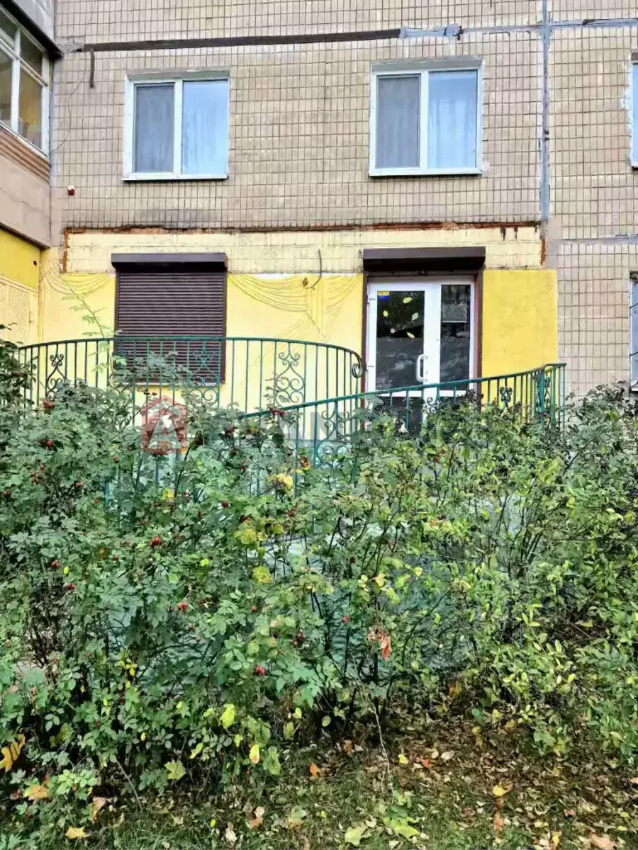 58 ��.�. ���� 2