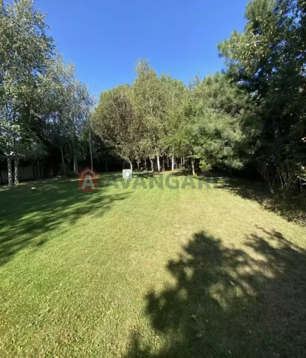 ������ ������ ������, 1800 ��.�. ���� 5