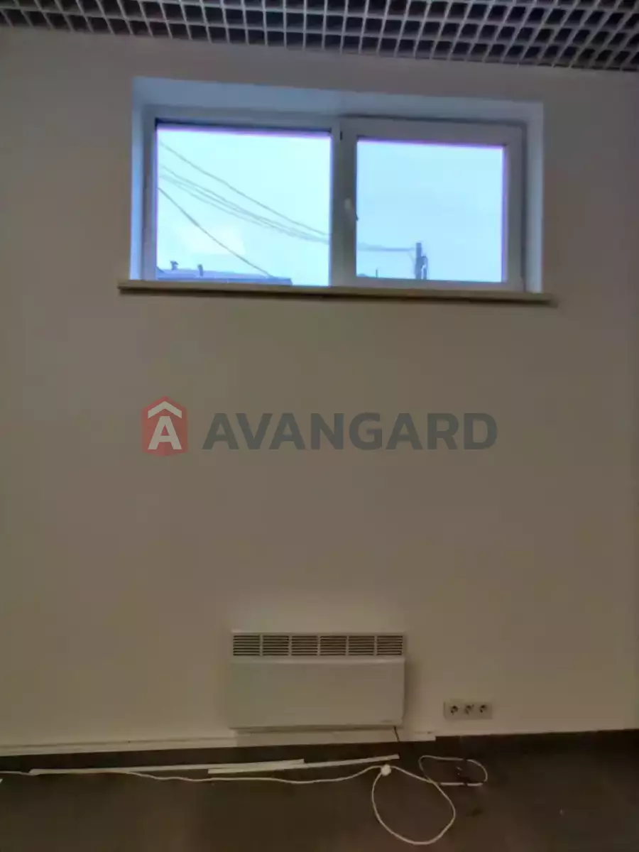 41 ��.�. ���� 11