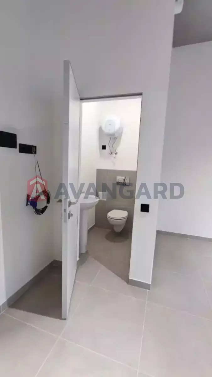 41 ��.�. ���� 3
