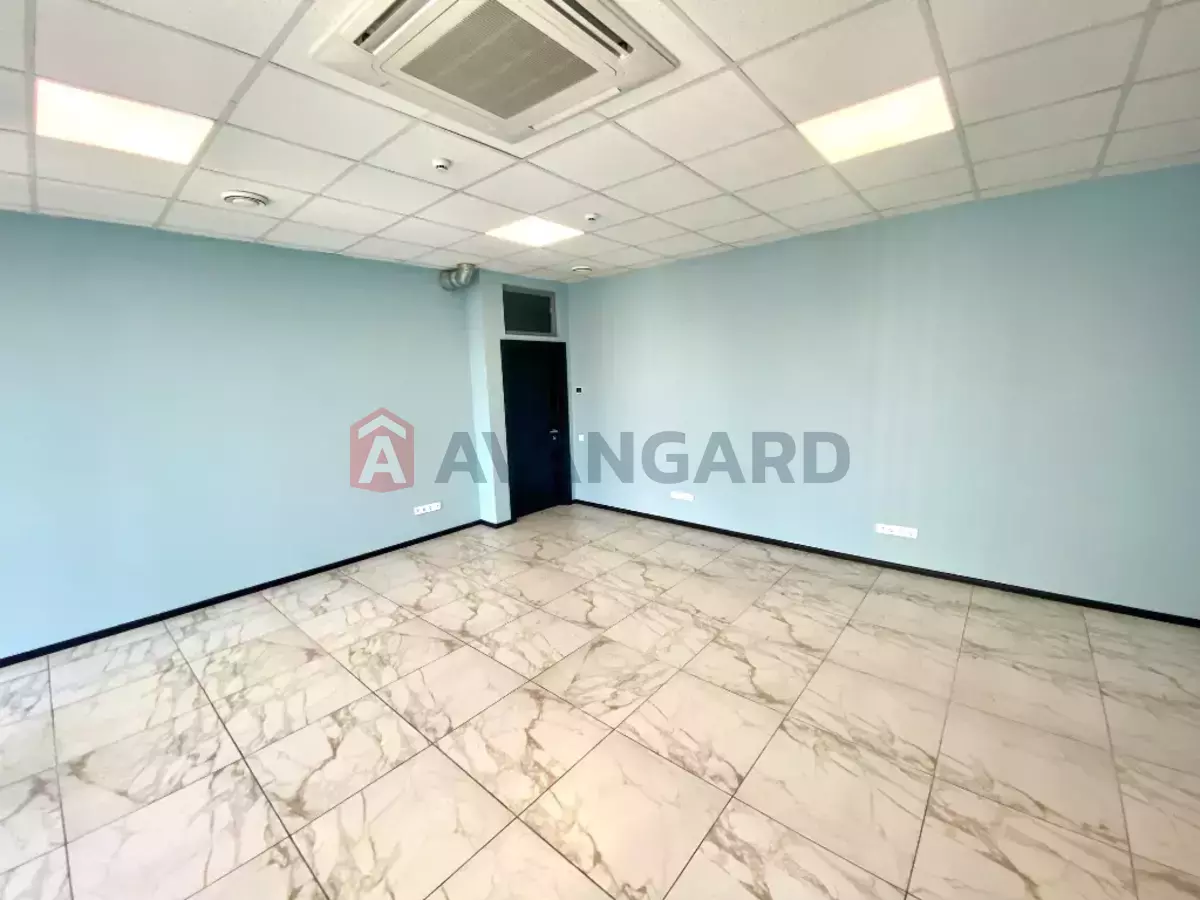 41 ��.�. ���� 4