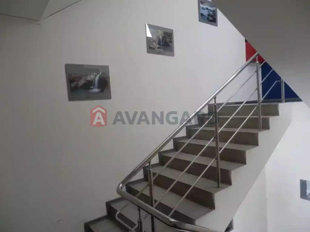 100 ��.�. ���� 5