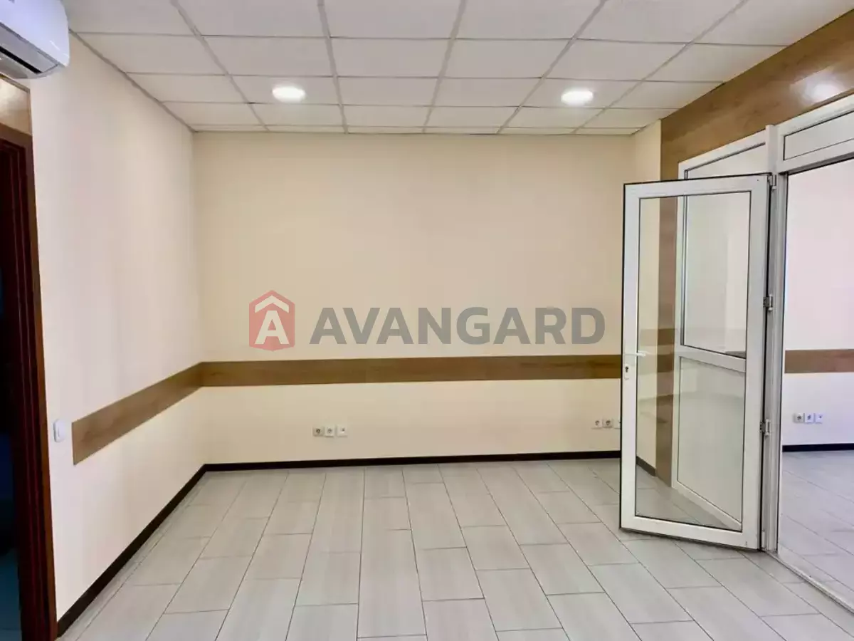 55 ��.�. ���� 3