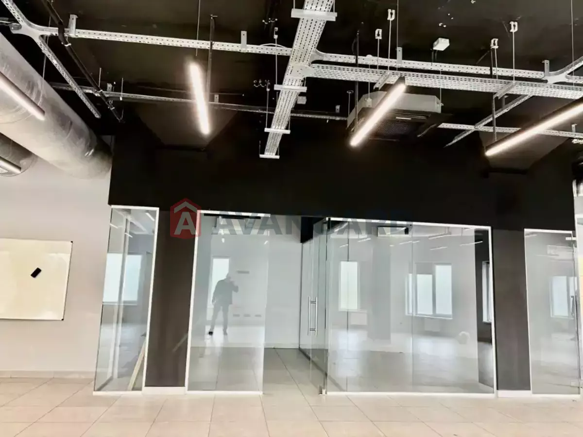 1202 ��.�. ���� 5