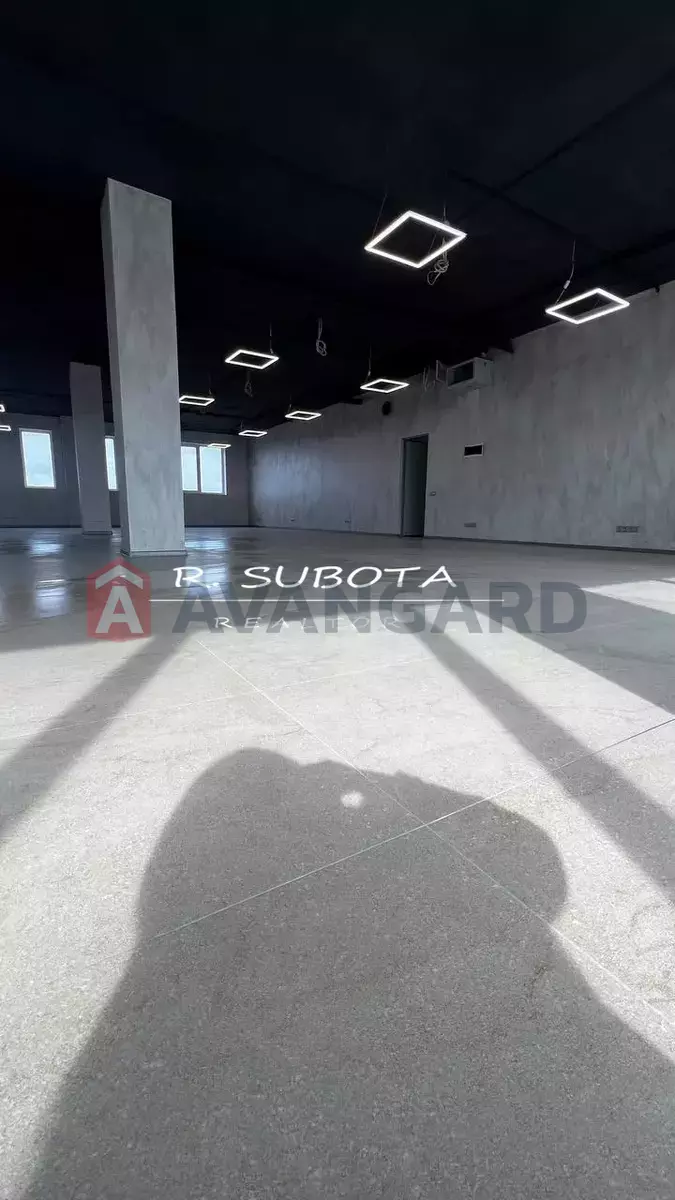 206 ��.�. ���� 2