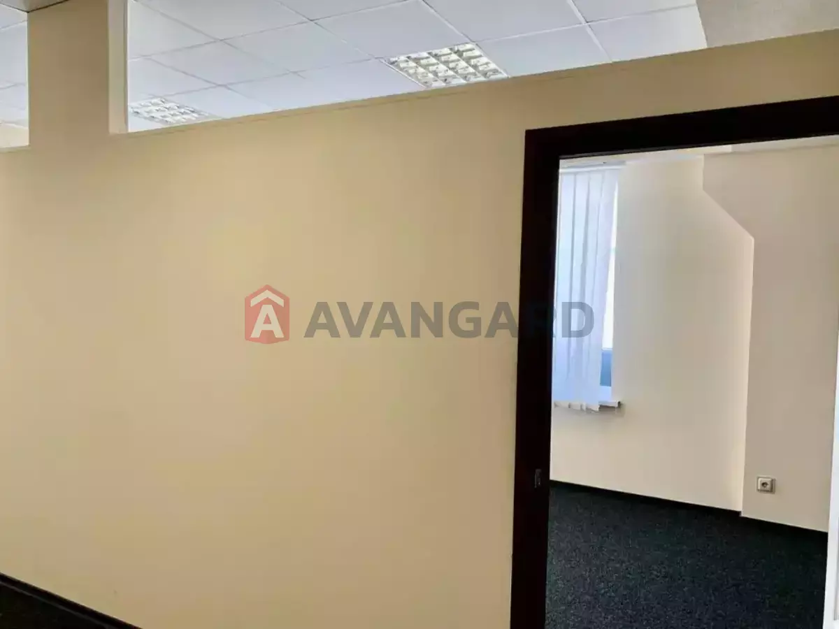 55 ��.�. ���� 6