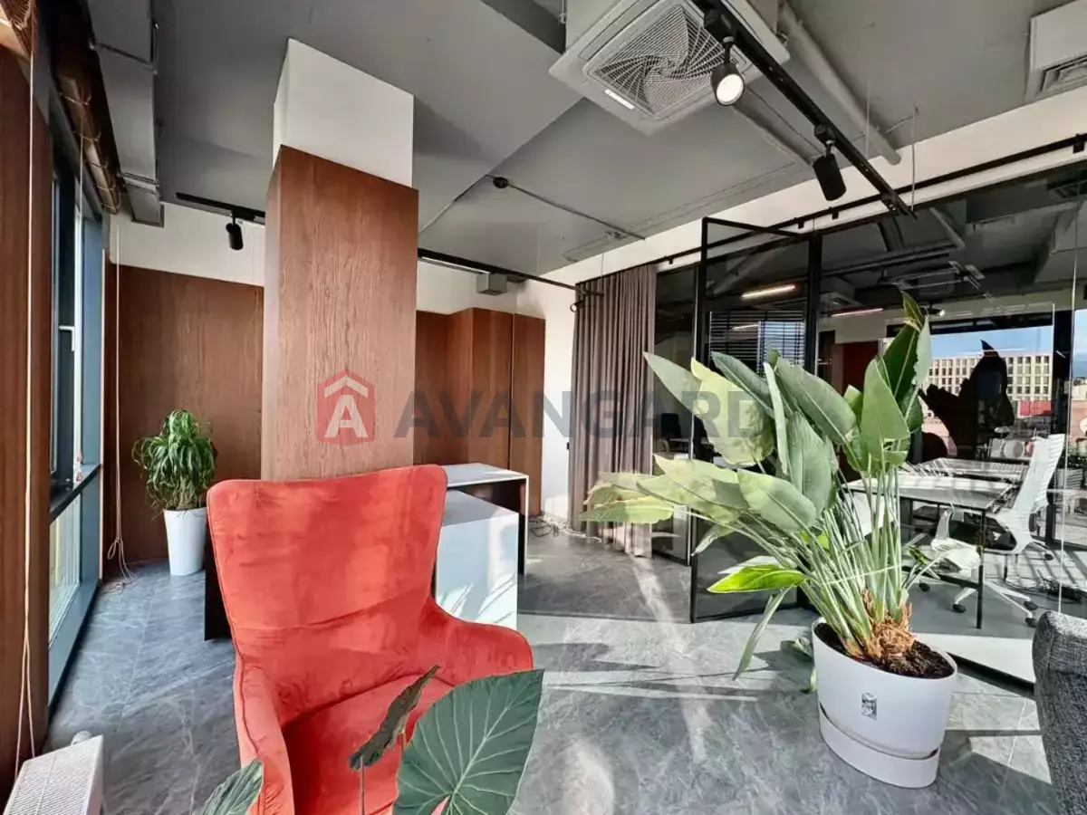 487 ��.�. ���� 6