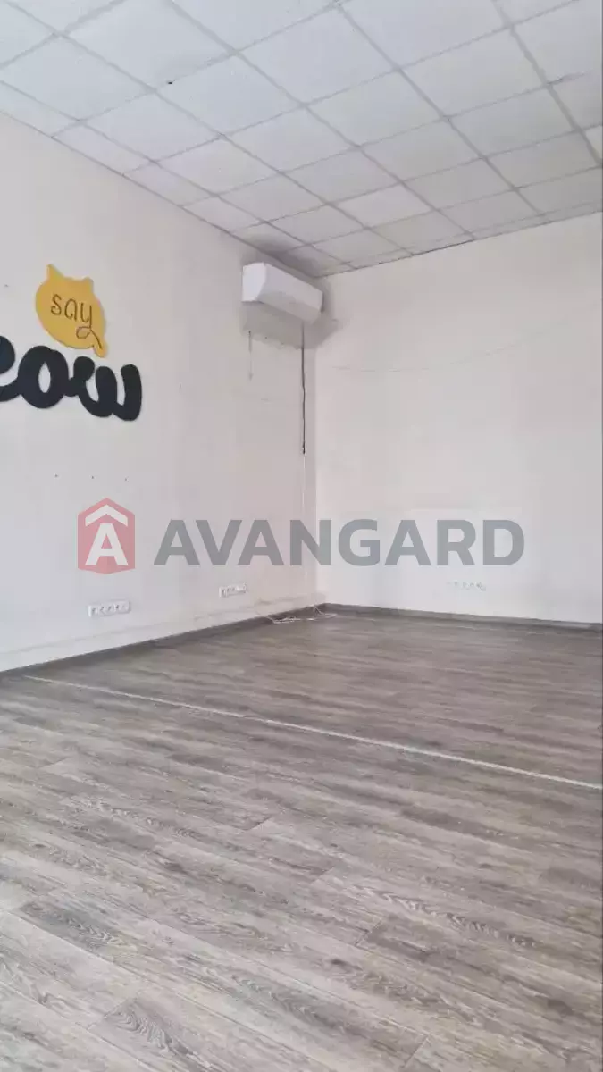55 ��.�. ���� 12